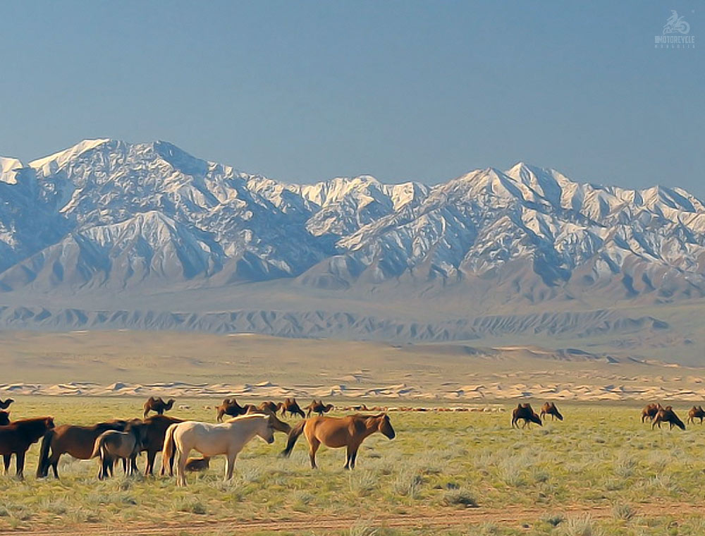 Gobi Altai Mountain Range, in Mongolia