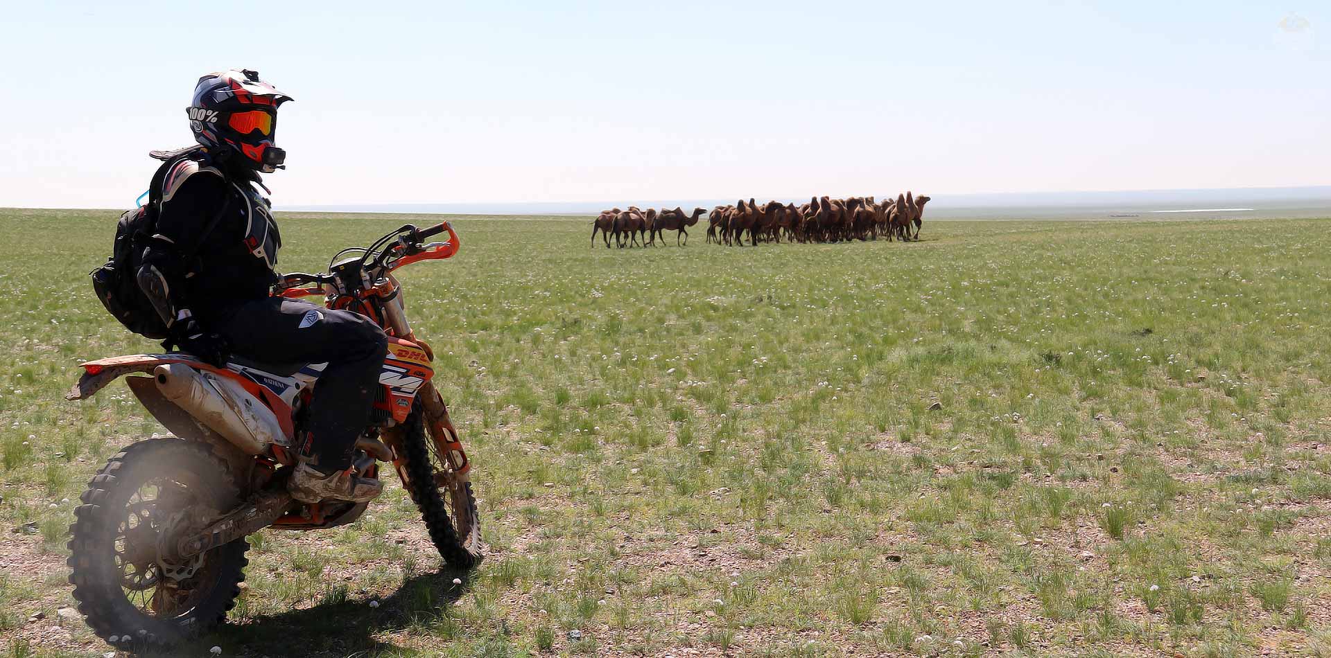 mongolia motorcycle tour